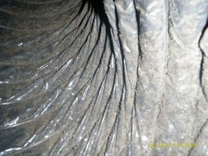 How to Prevent Duct Contamination