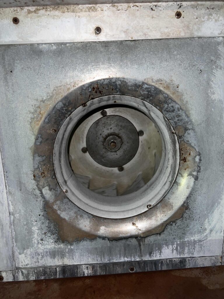 Fan - After